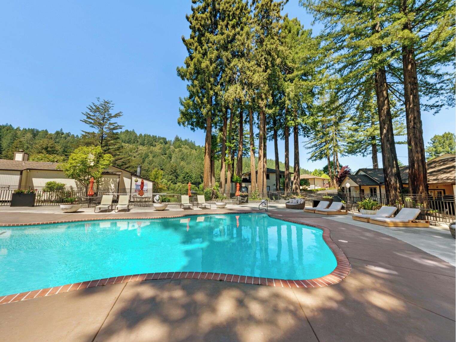 Outdoor pool, pool umbrellas, pool loungers