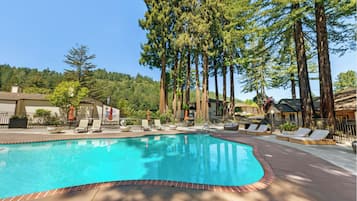Outdoor pool, pool umbrellas, pool loungers