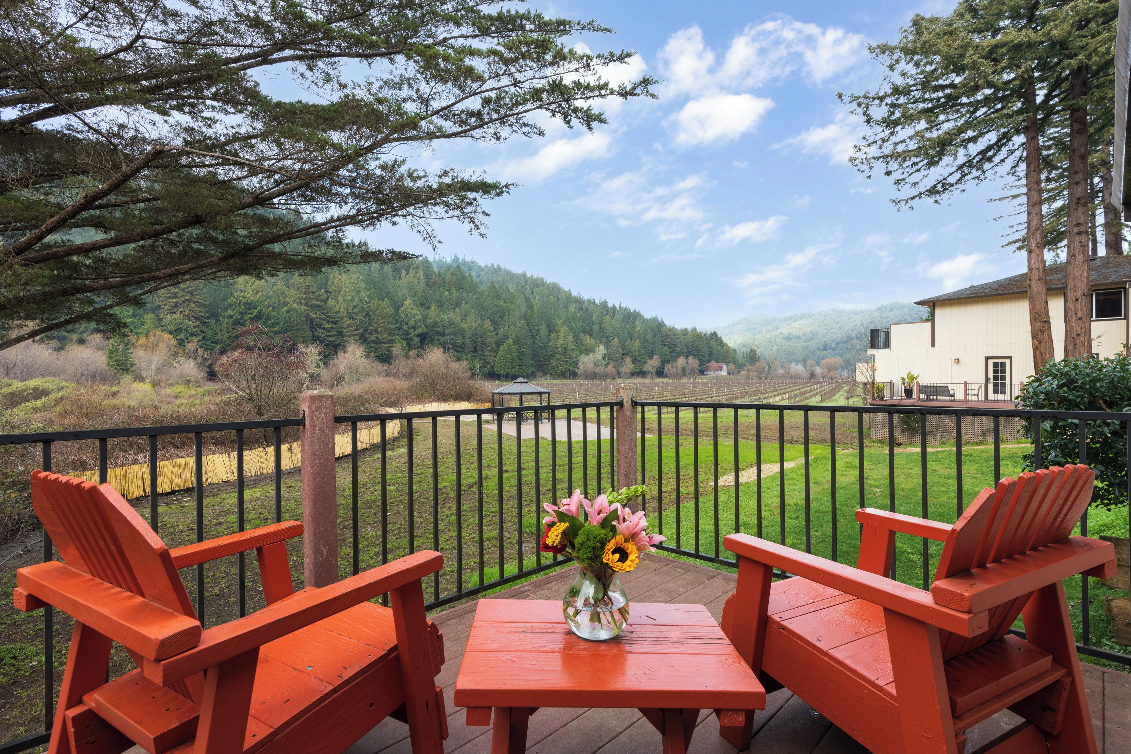 Deluxe suite, 2 queensize bedden, patio | Terras