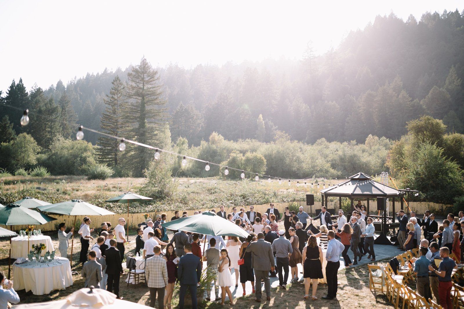 An outdoor gathering with tables and umbrellas, surrounded by a forested area.