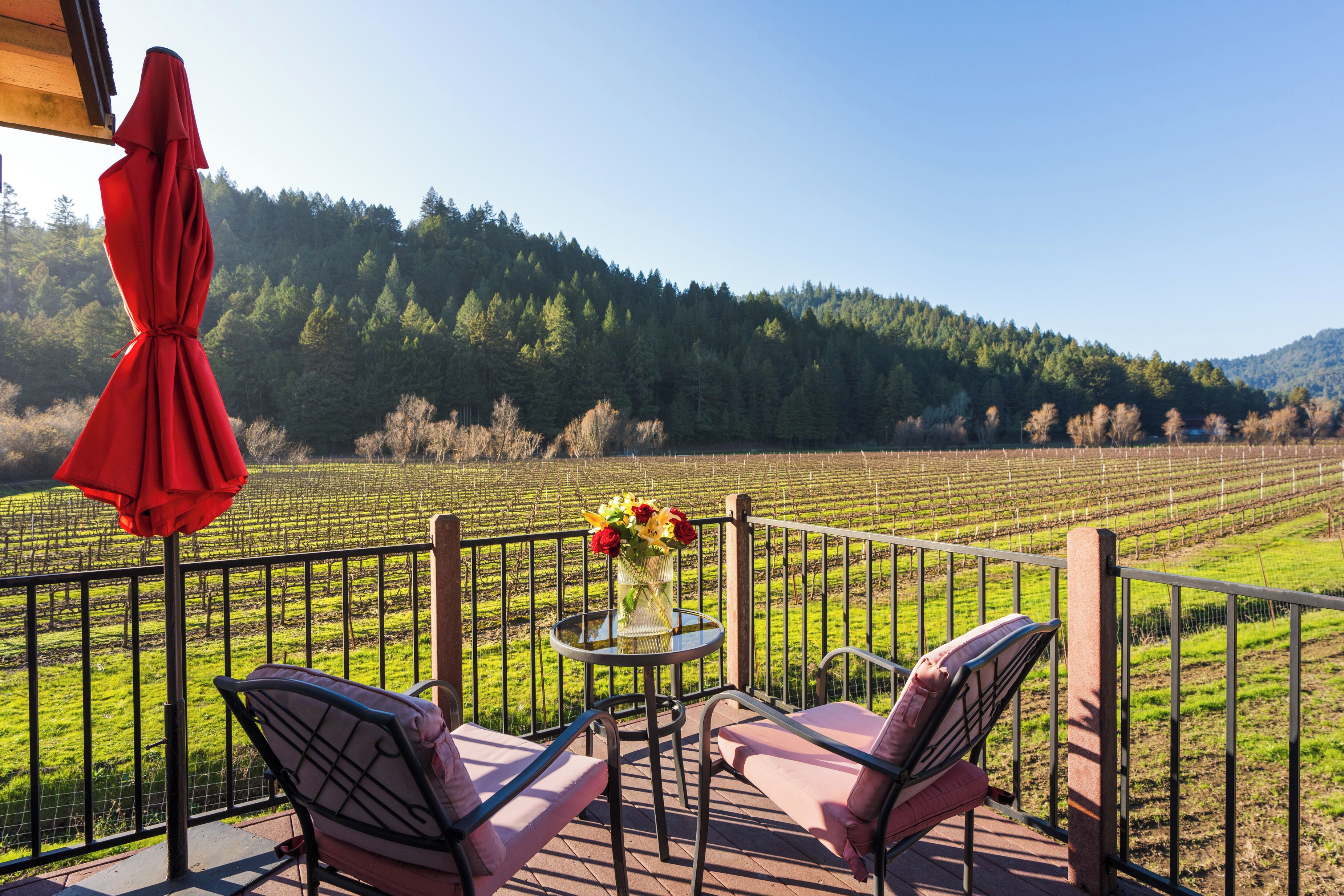 A terrace with two chairs and a table, overlooking a vineyard.