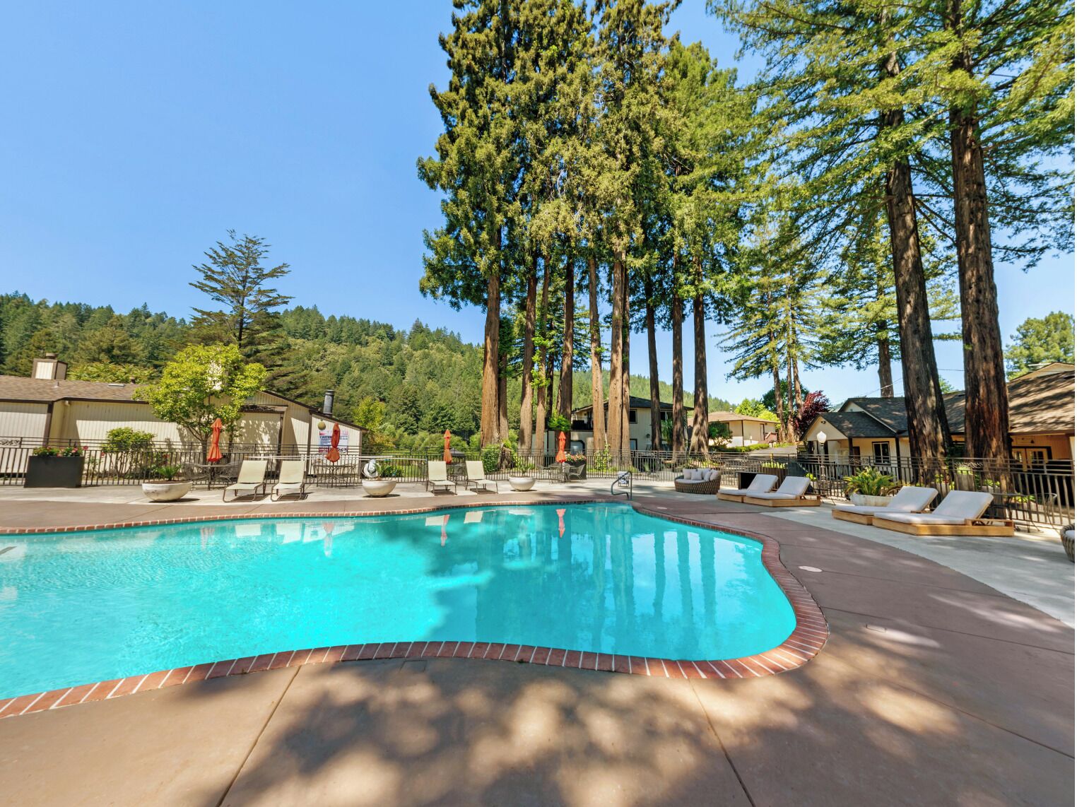 Outdoor pool, pool umbrellas, pool loungers