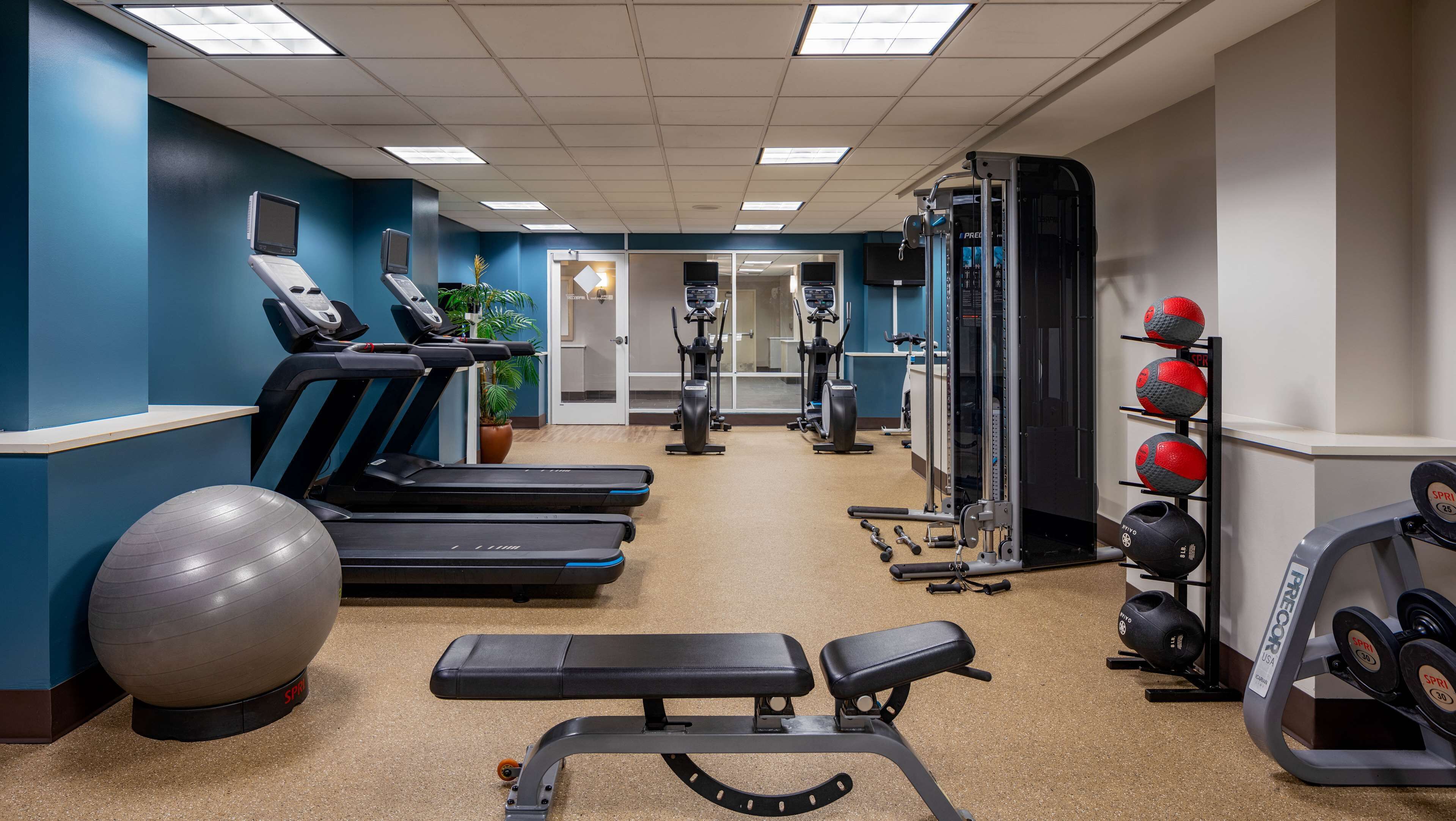 A gym with treadmills, elliptical machines, a bench, exercise balls, and weightlifting equipment.