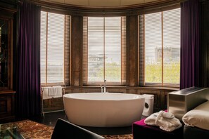 Suite presidencial, vistas al río | Vistas desde la habitación