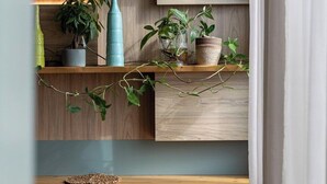 A modern interior with wooden shelves, blue vases, and potted plants.