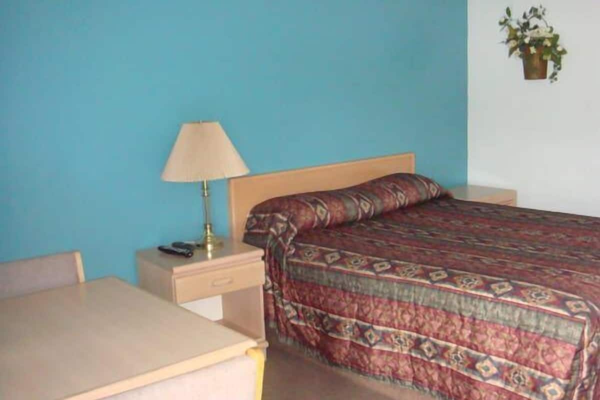 A room with a bed, a desk, a lamp, and a potted plant.