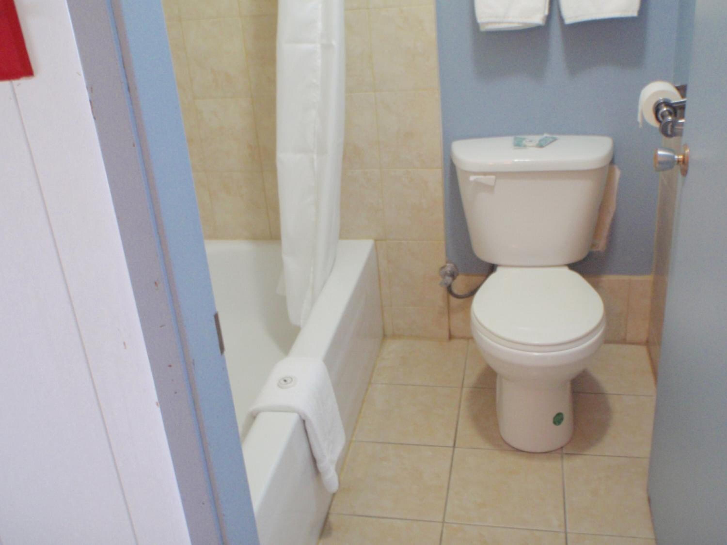 A bathroom with a toilet, a bathtub, and a shower curtain.