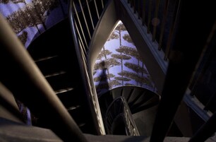 A spiral staircase with a view of trees through a window.