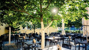 Un patio al aire libre con mesas y sillas, rodeado de árboles y sombrillas.
