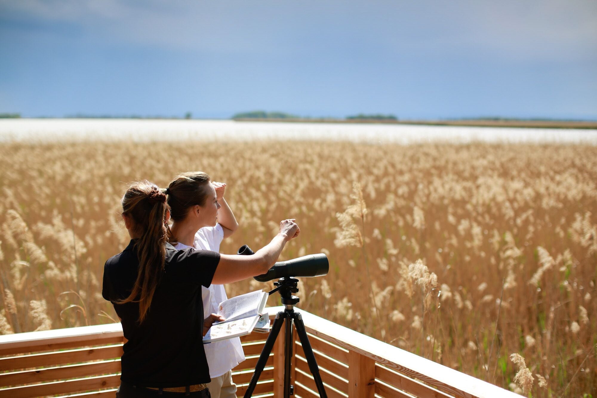 Two people observing a field through binoculars from a wooden deck.