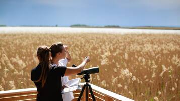 Two people observing a field through binoculars from a wooden deck.