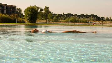 A swimming pool with two people lying on their backs.