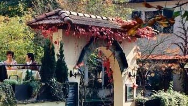 Un jardín con una pérgola cubierta de hojas rojas, rodeado de follaje y un edificio con techo de tejas.