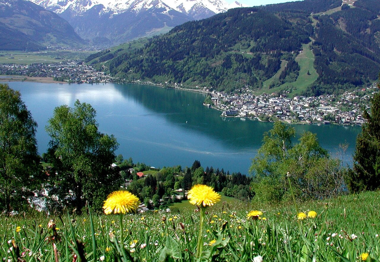 Foto - Upside Down Town Hotel Neue Post