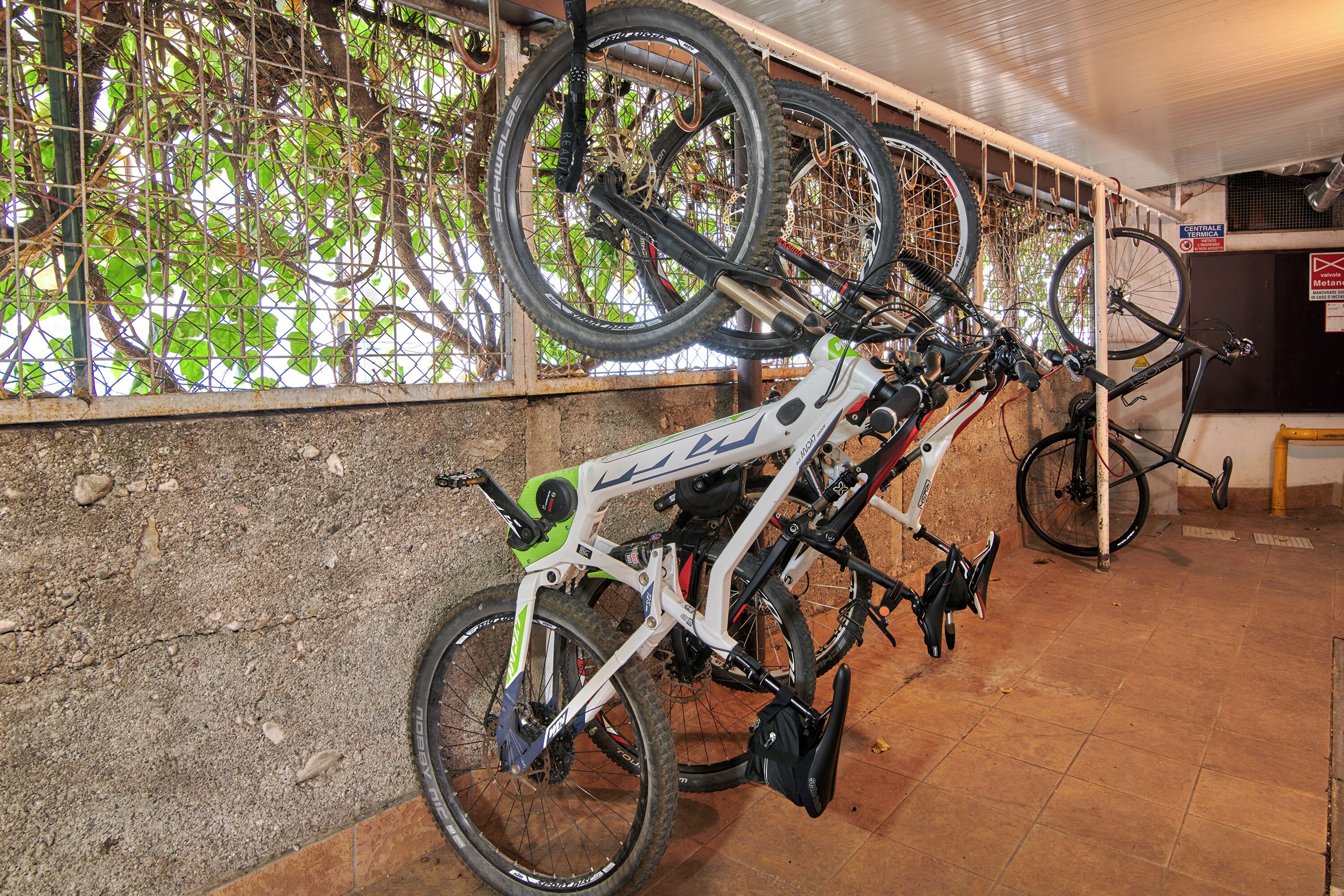 A bicycle storage area with multiple bikes and a window with a view of greenery.