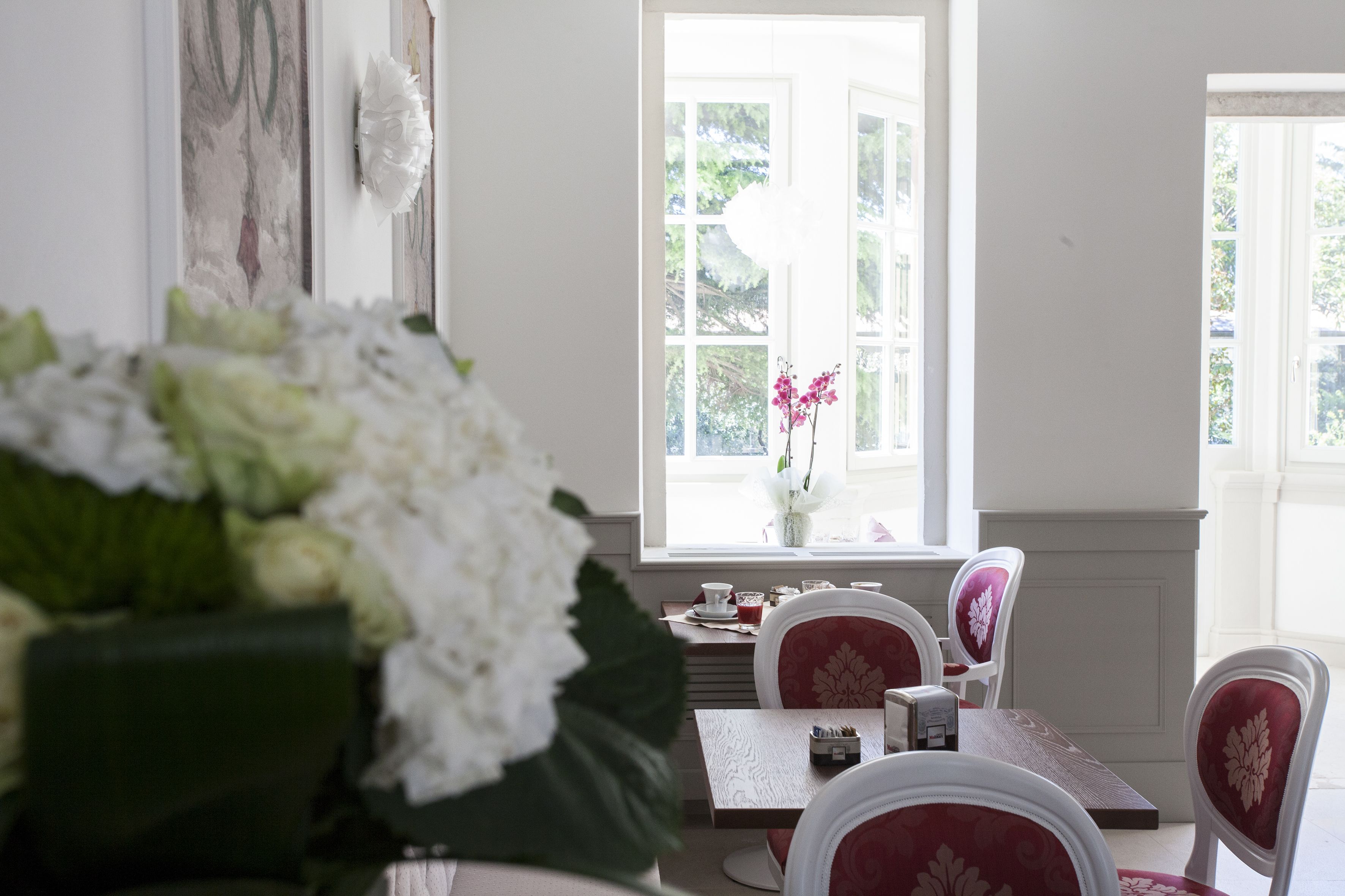 A dining area with a table set for four, white chairs with red cushions, a vase with flowers, and a view through a window with white shutters.