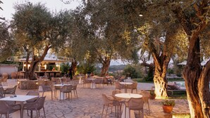 An outdoor patio area with stone flooring, wicker tables, and chairs. - Paradise Hotel Corfu (Corfu)