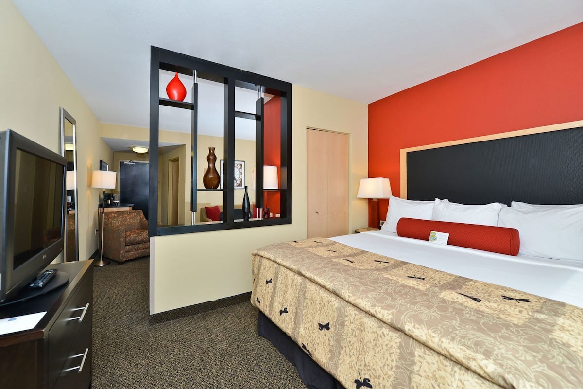Una habitación de hotel con cama, televisión, escritorio con cajones, espejo y puerta.
