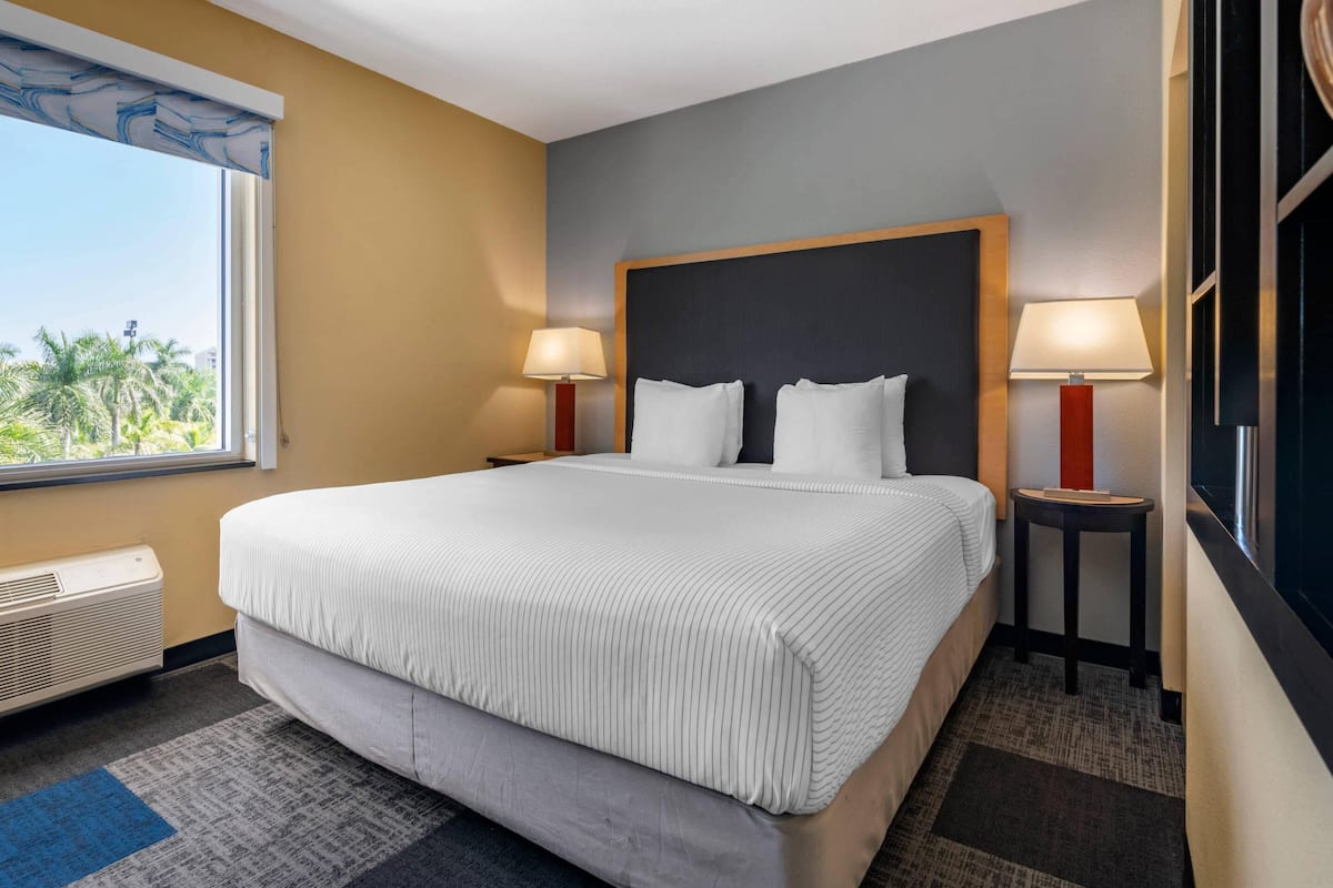 Suite, 1 King Bed, Non Smoking (2 Person)