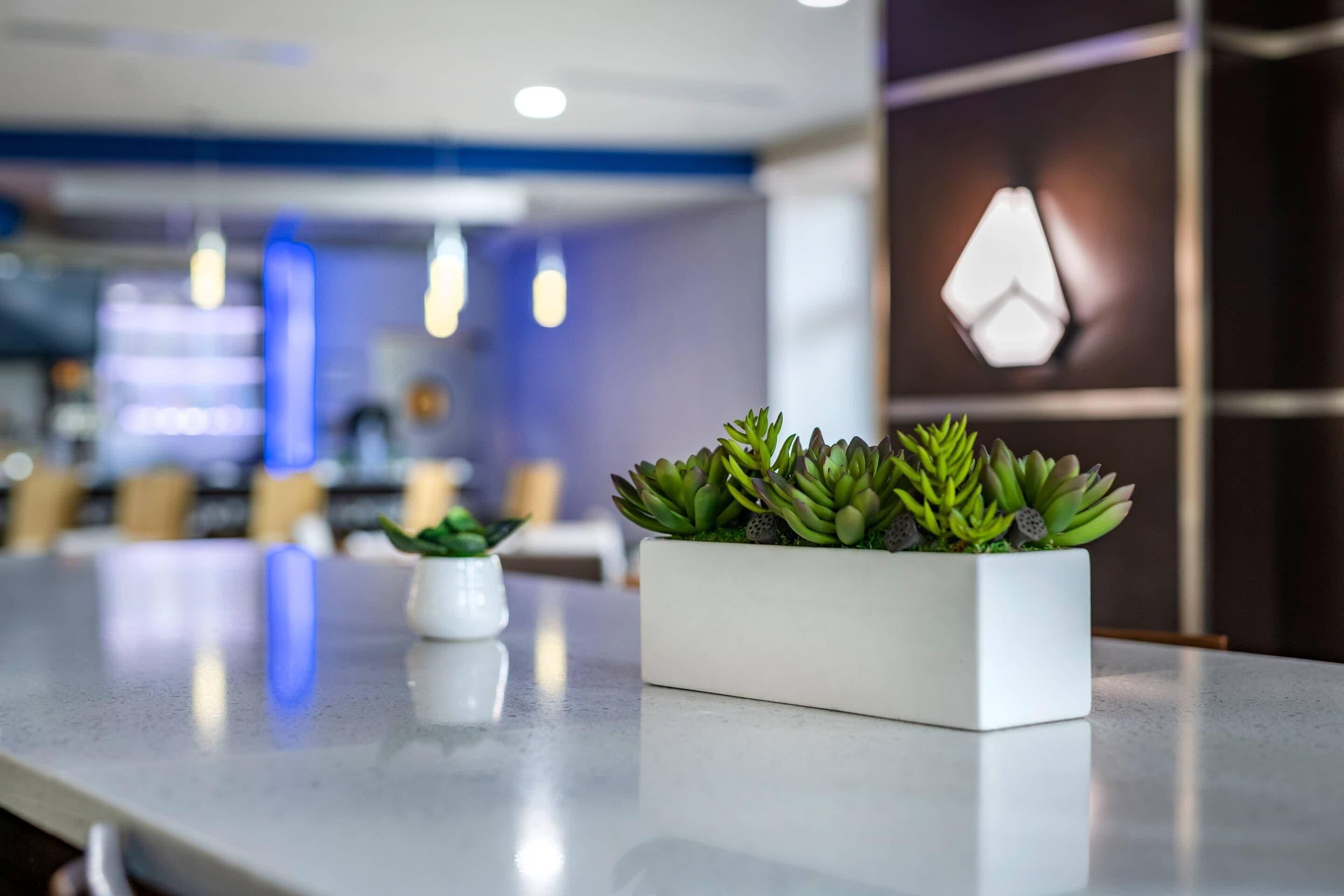 A modern interior with a white rectangular planter with succulents on a reflective surface, a small white pot with a plant, and a geometric light fixture on the wall.