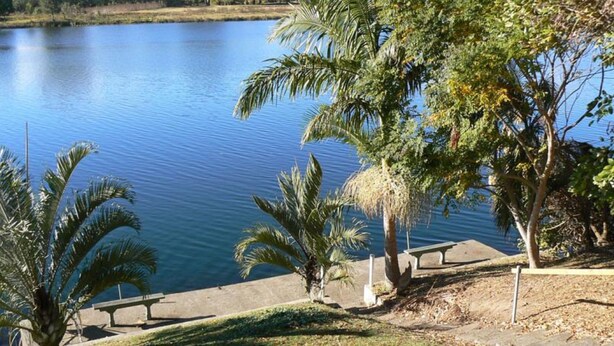 A calm lake with palm trees and a bench along the shore.