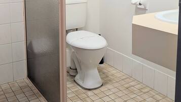A bathroom with a toilet, a towel rack, a shower area, and a window.