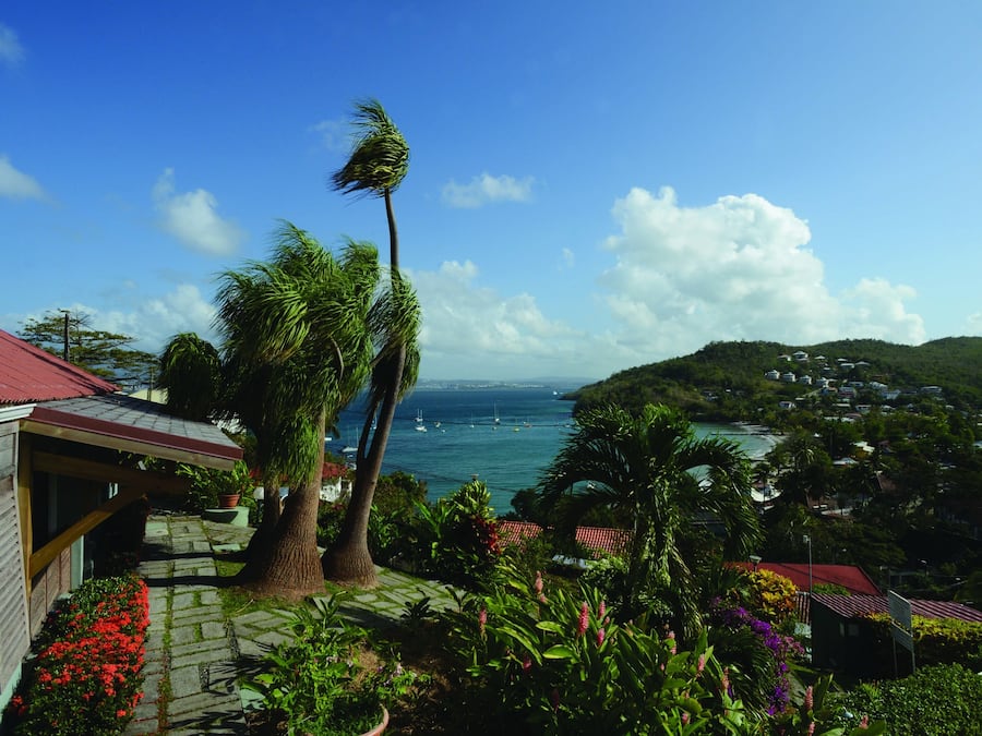 Vista desde la propiedad