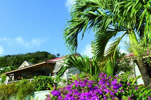 Una casa con techo inclinado, rodeada de exuberante follaje y flores moradas.