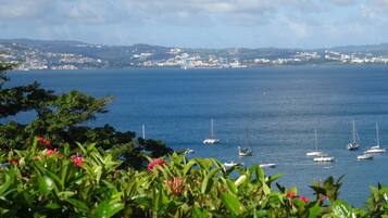 Estudio Confort, terraza | Vistas desde la habitación