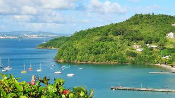 A coastal area with a pier, boats, and a hillside with buildings.