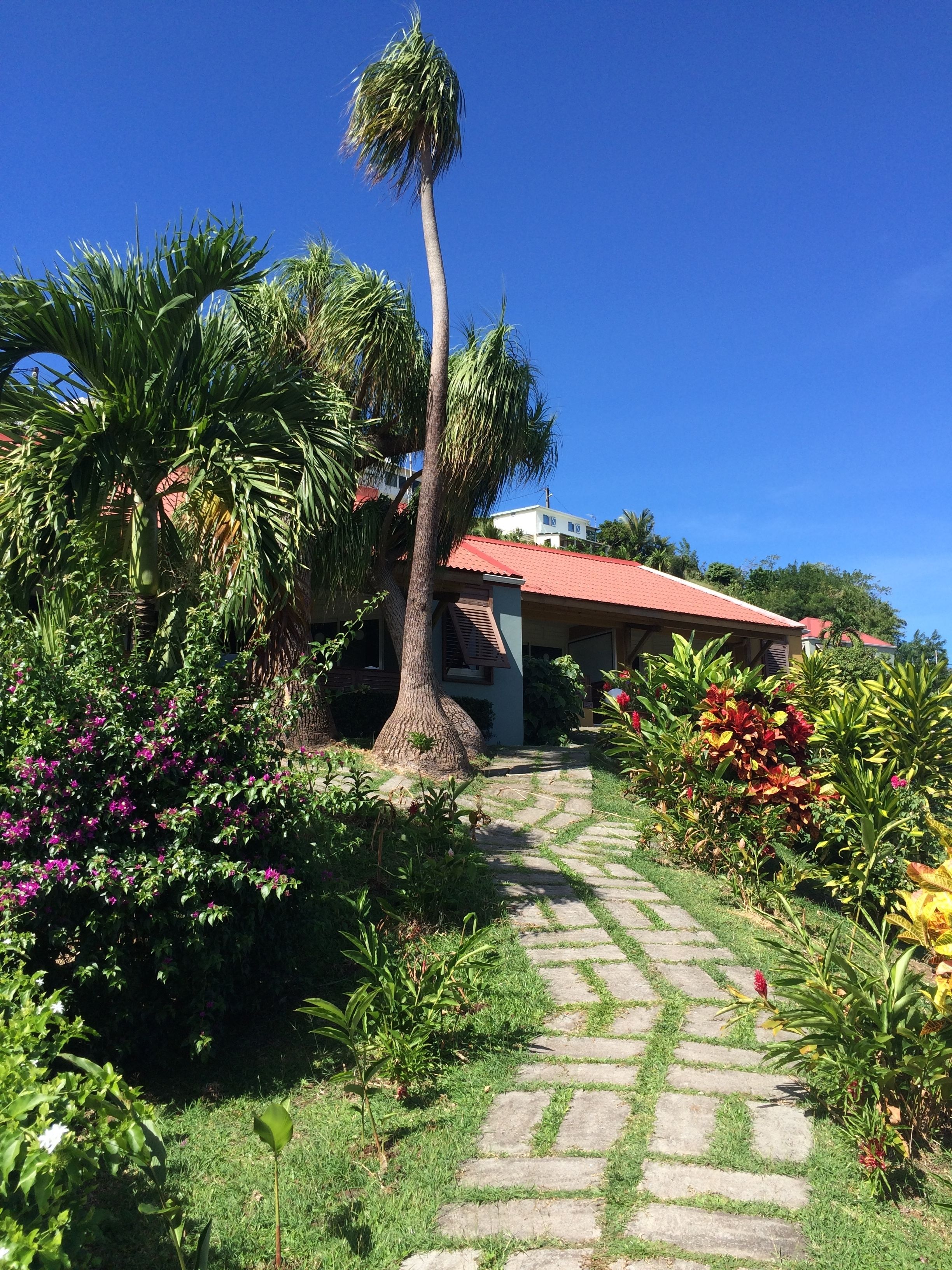 Un chemin de jardin qui mène à une maison avec un toit rouge, entourée d’une végétation luxuriante et de plantes en fleurs.