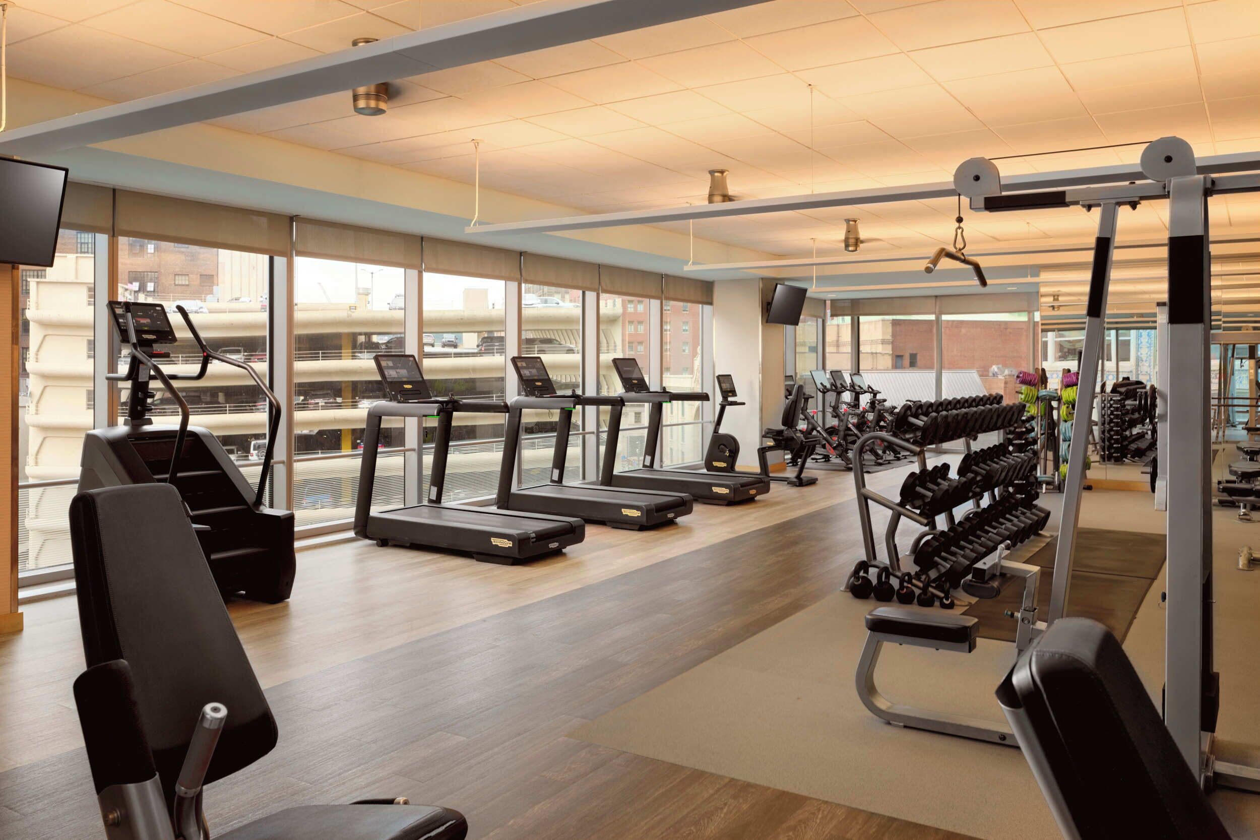 A gym with treadmills, weight machines, and a variety of free weights.