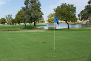 Golf - Cocopah Resort And Conference Center (Somerton)