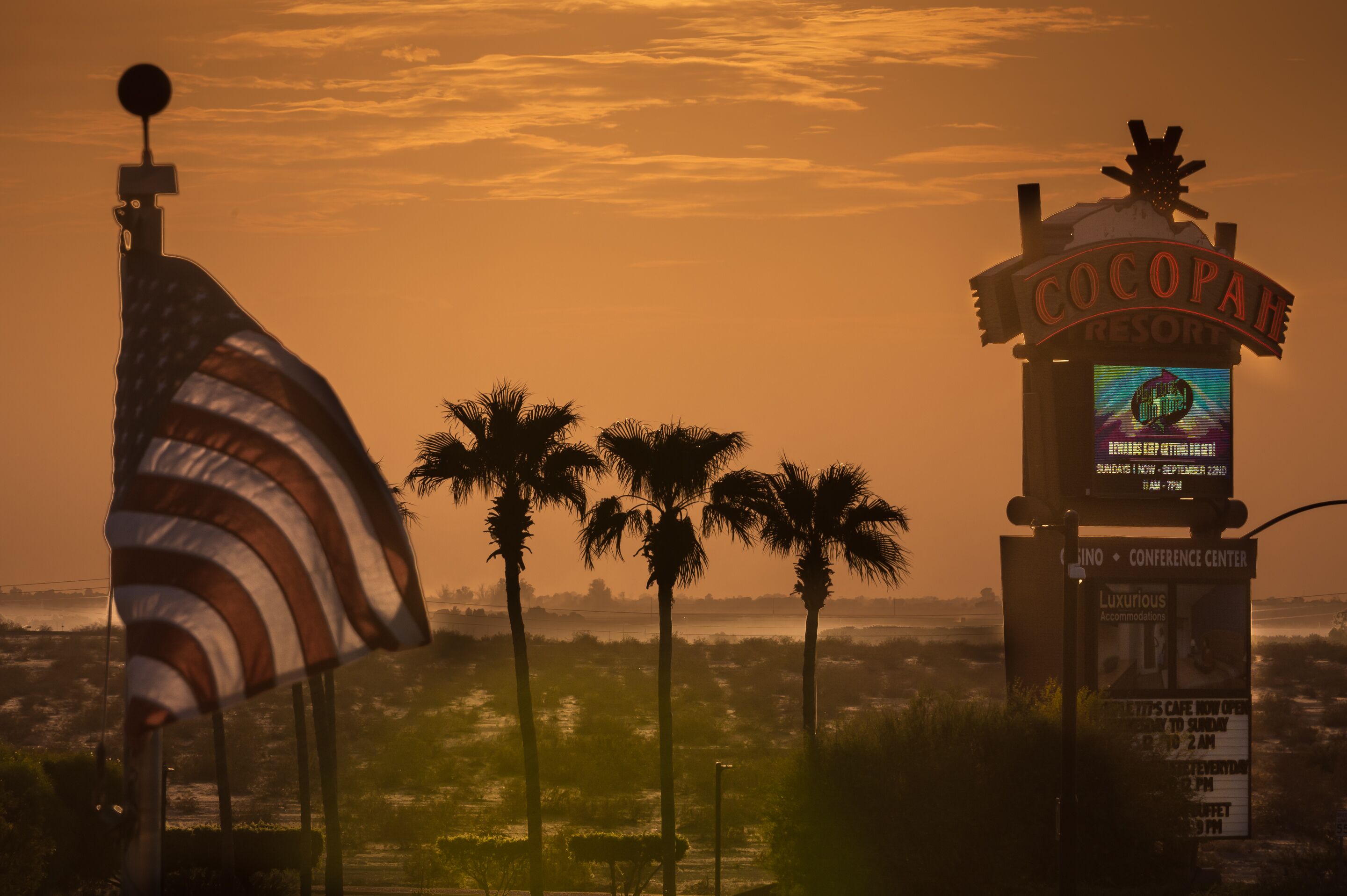 A sign for Cocopah Resort with a view of palm trees and a flag.