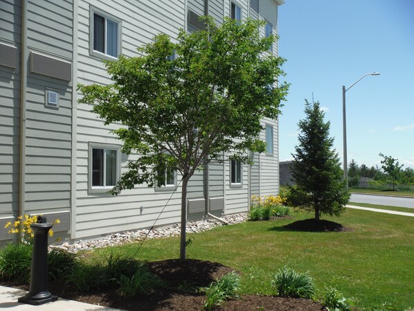A modern building with multiple windows and a well-maintained lawn with a small tree and yellow flowers. - Motel 6 Kingston, ON (Kingston)
