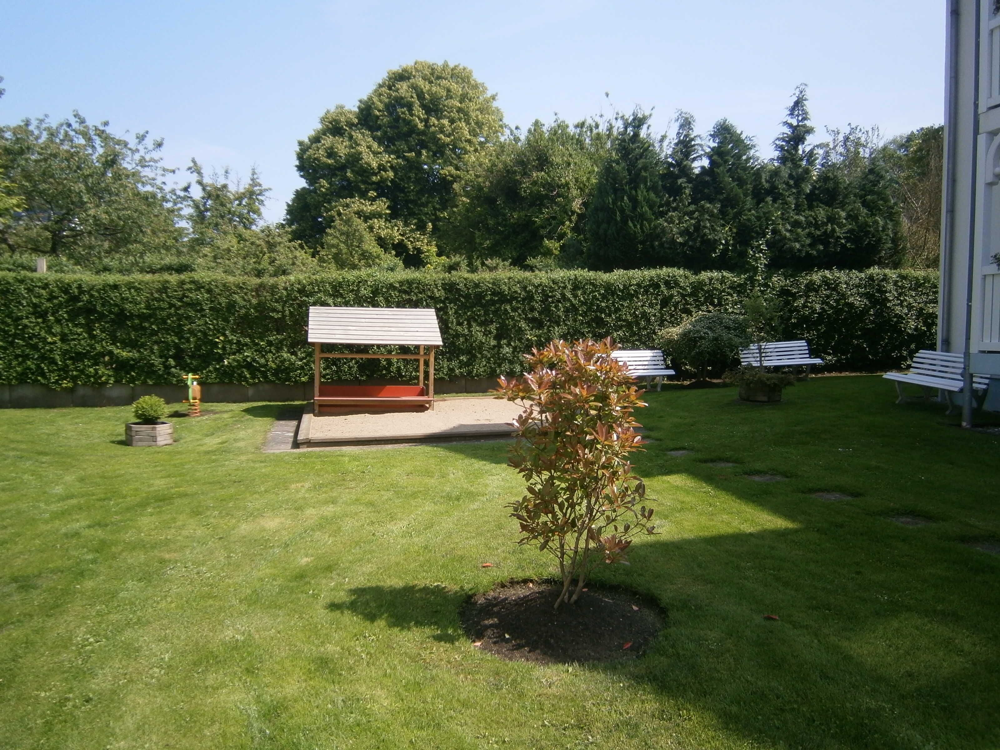 A well-maintained garden with a wooden bench, a small tree, and a gazebo.