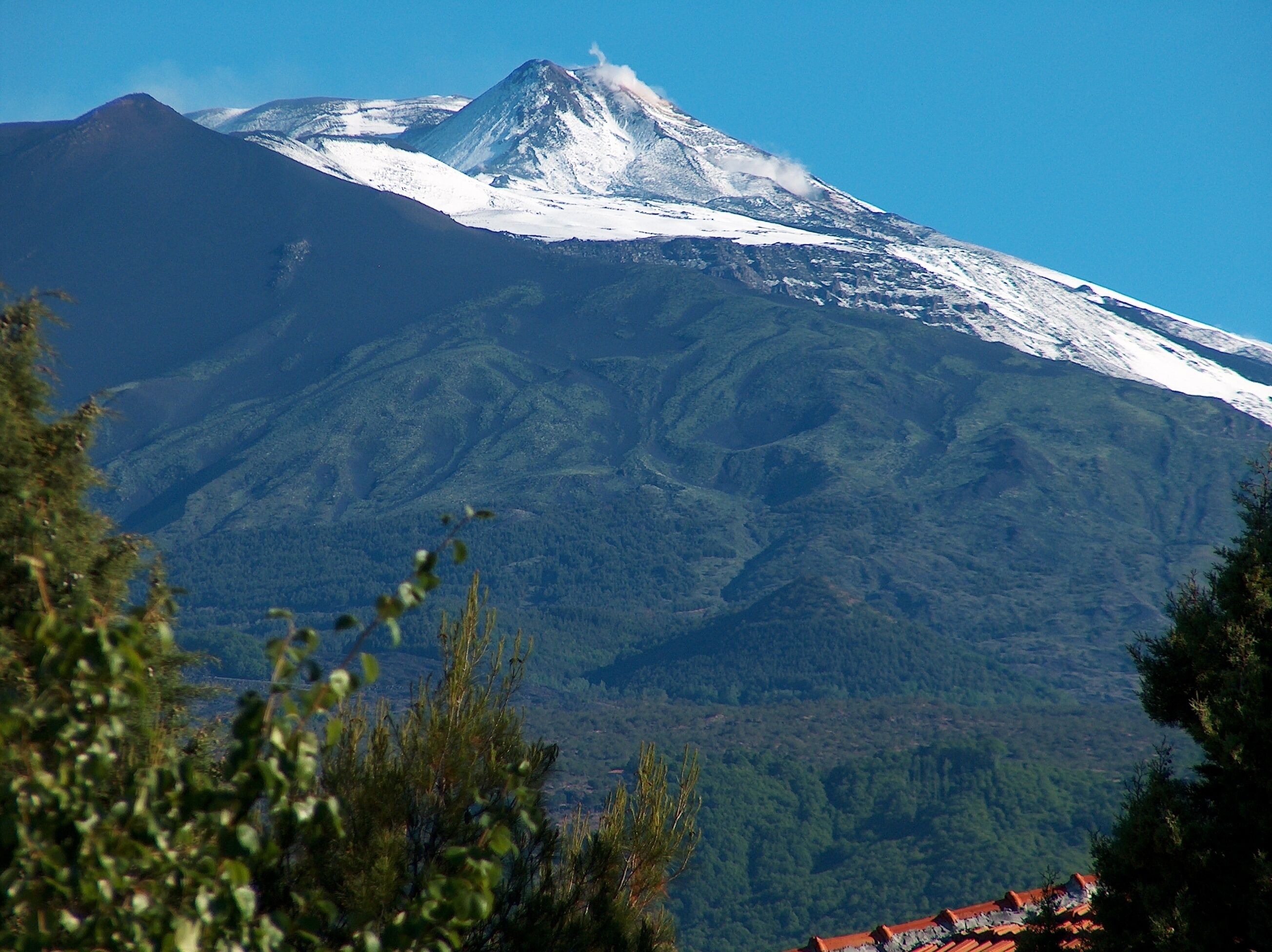 Una montaña con cumbre nevada y un valle cubierto de bosque.