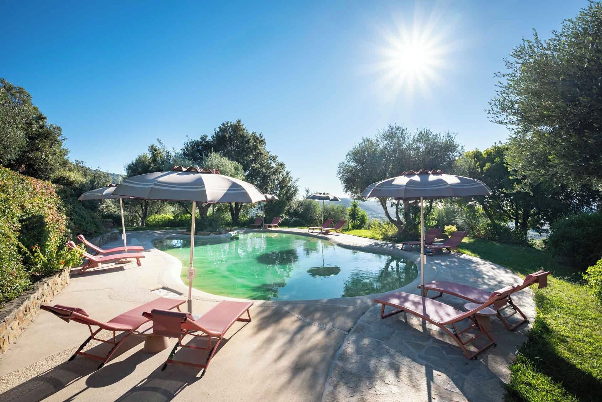 Sæsonbestemt udendørs pool, parasoller, liggestole