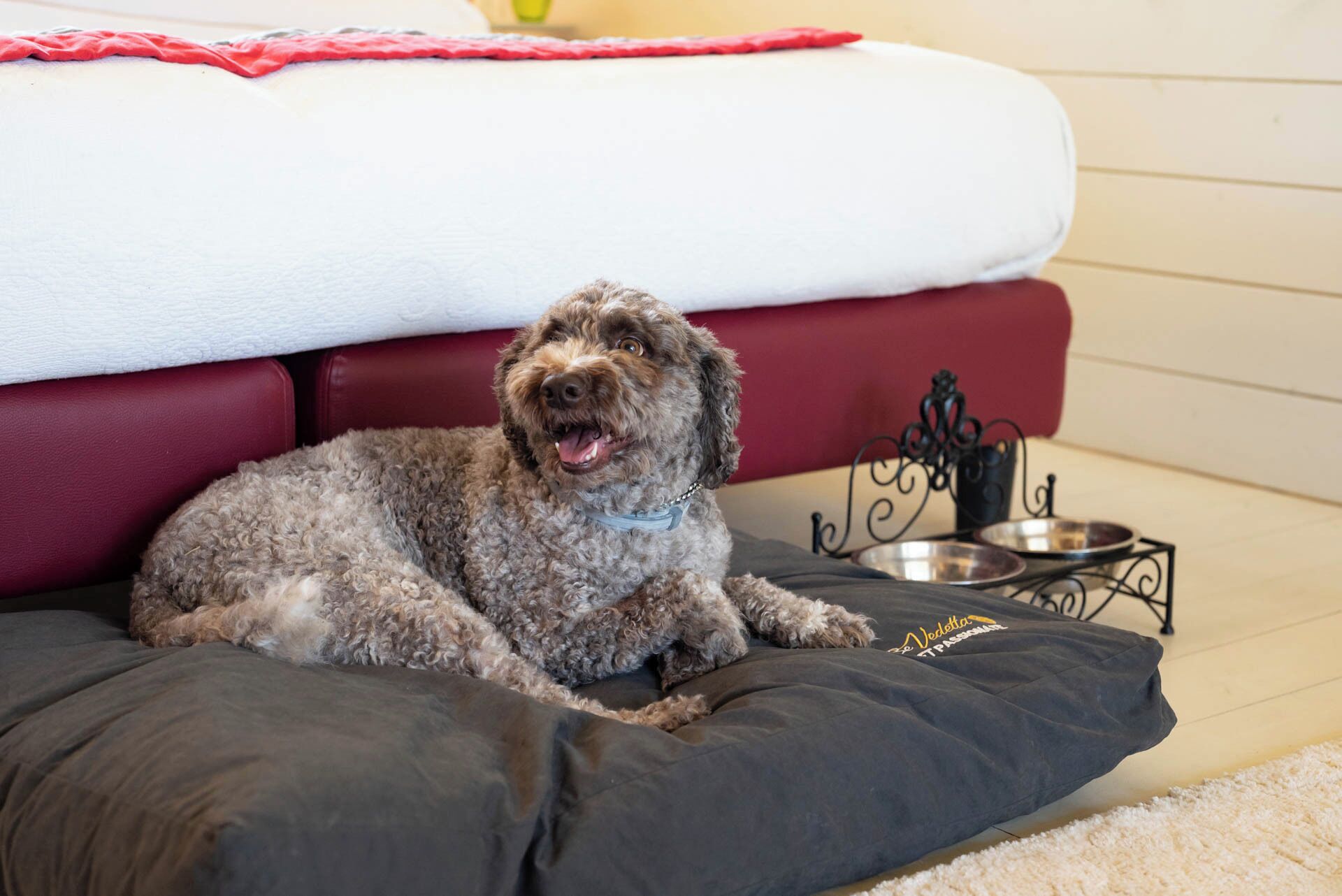 Un perro recostado sobre una cama gris para mascotas, junto a un sofá blanco con un cojín rojo.