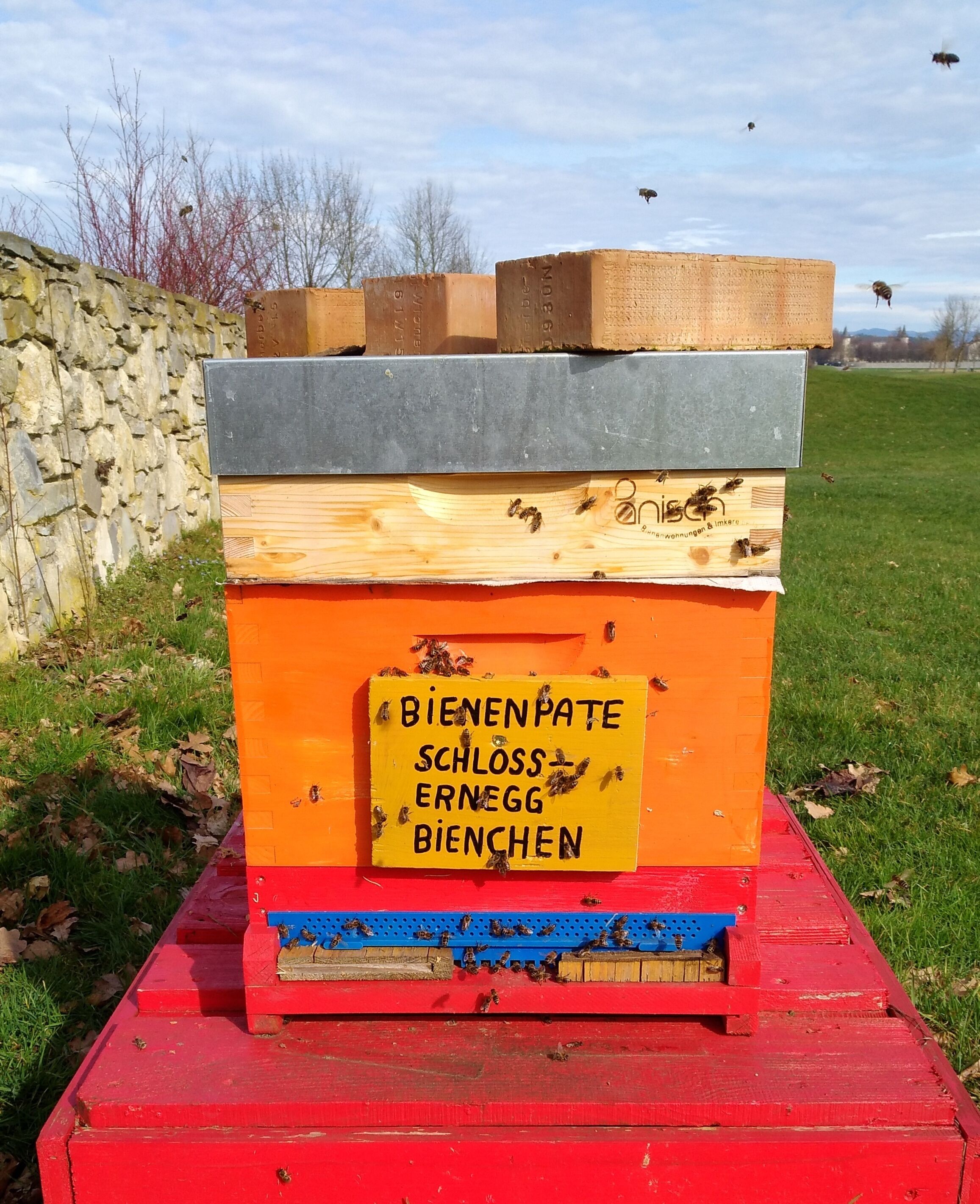 daily buffet breakfast (eur 22 per person)