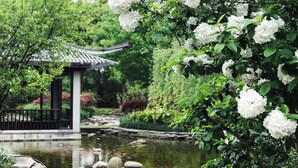 Un jardín tranquilo con un estanque, piedras para pisar y un pabellón tradicional.