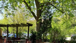 Eine Terrasse im Freien mit Tischen und Stühlen, umgeben von Bäumen und einem überdachten Sitzbereich.