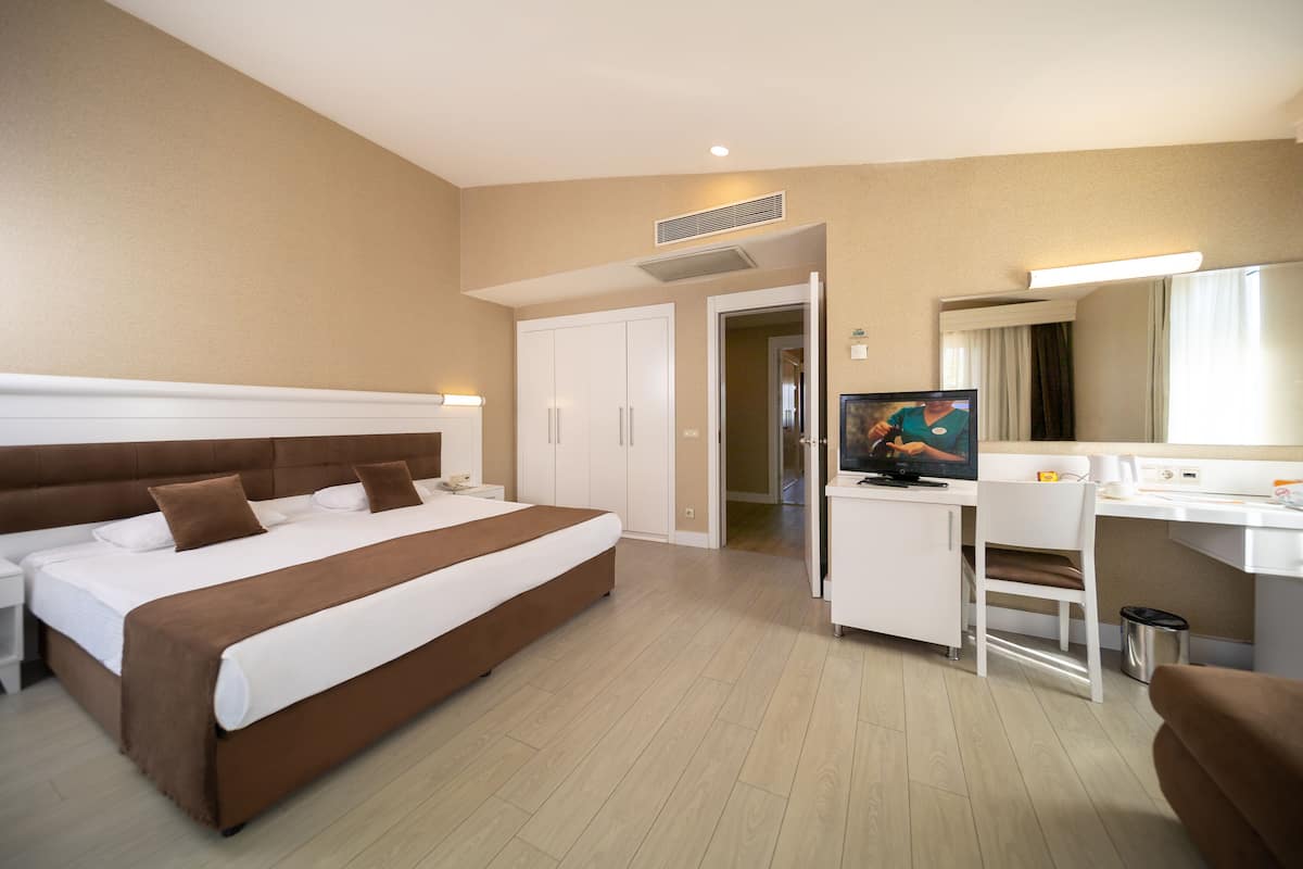 A hotel room with a large bed, a desk, a chair, a television, and a mirror.