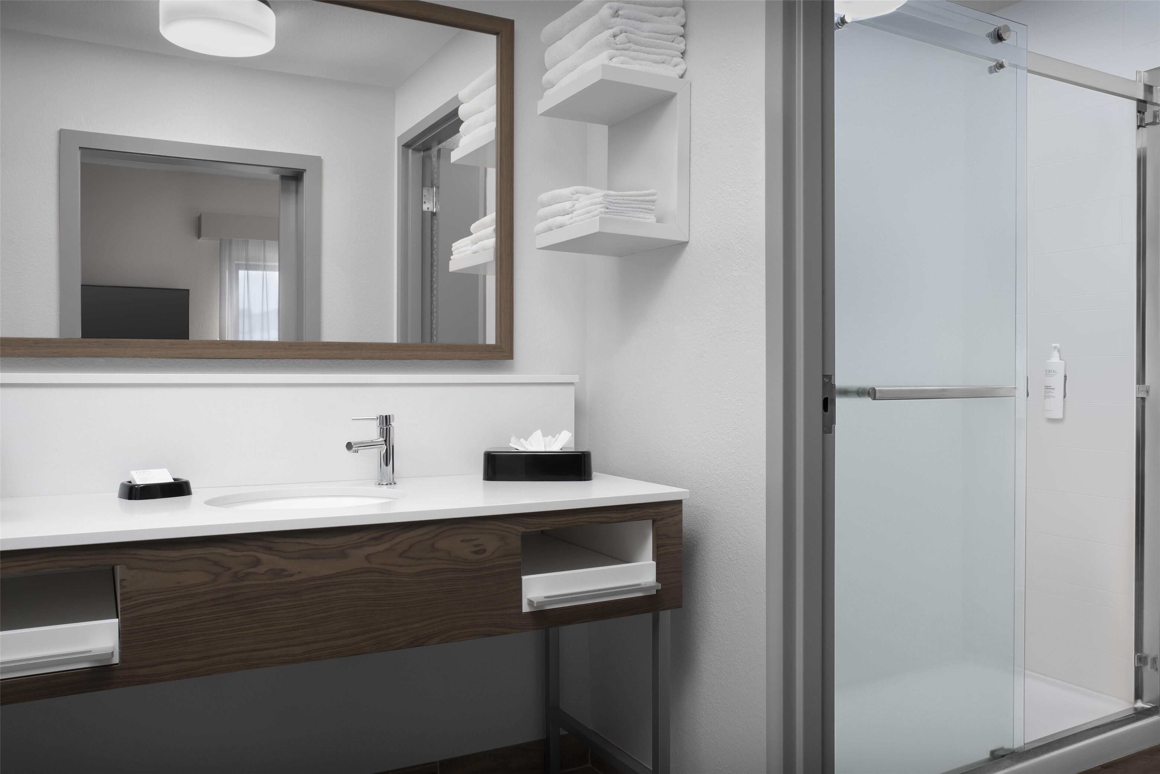 studio suite, 1 king bed | bathroom shower