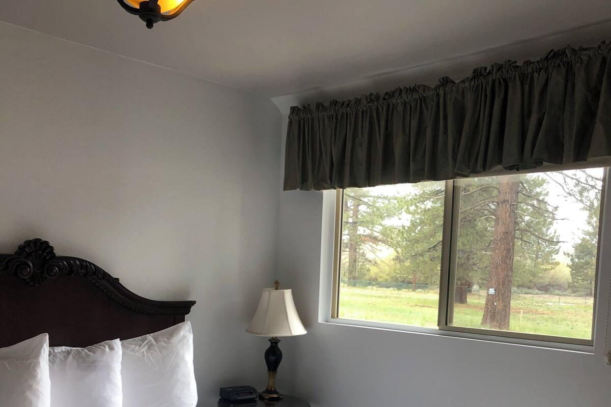 A neatly made bed with white linens, a bedside lamp, and a window with a view of trees.