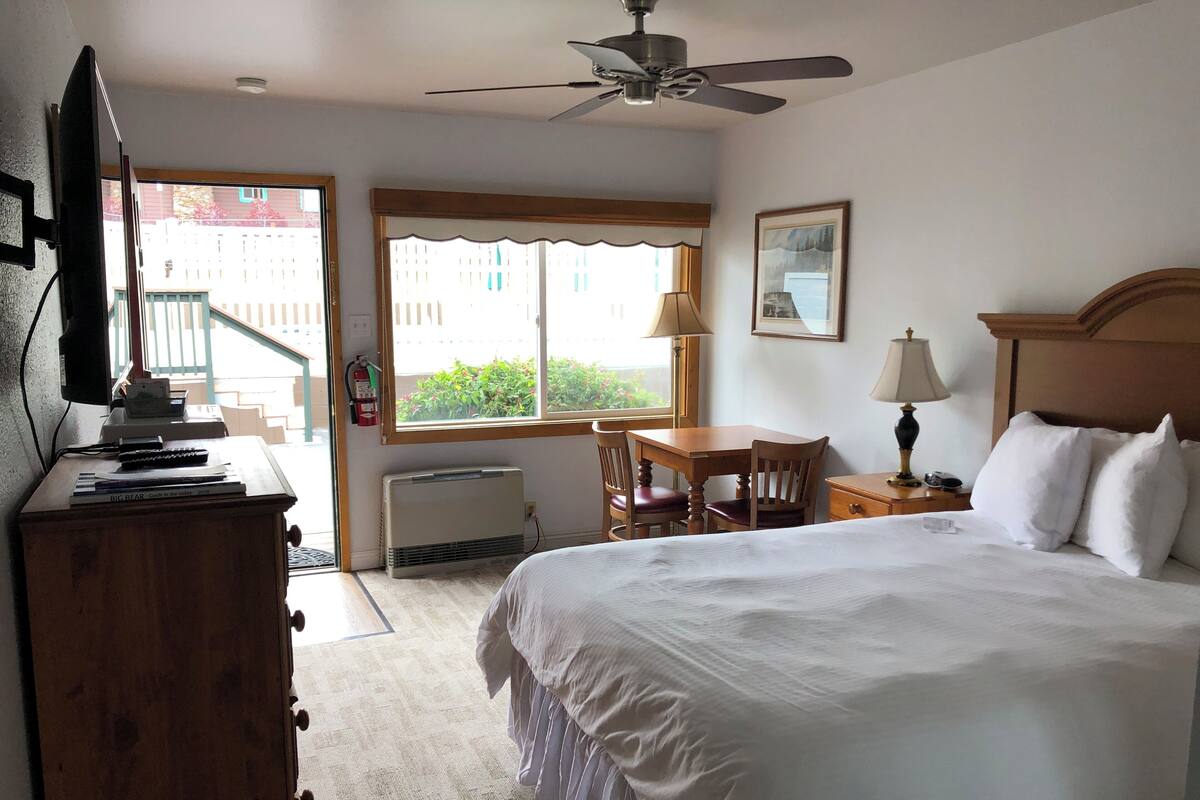 A hotel room with a bed, a desk, a chair, a ceiling fan, and a window with a view of buildings and greenery.