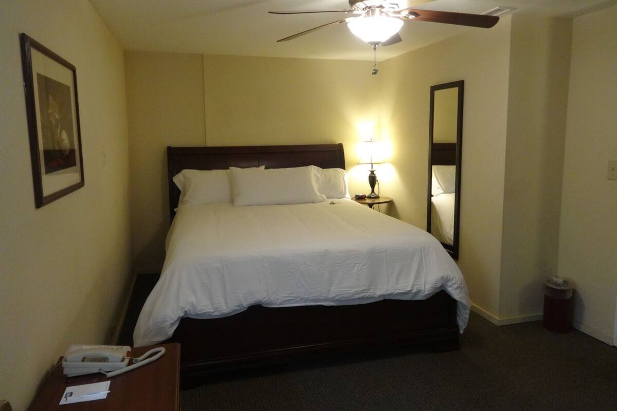 A hotel room with a bed, a ceiling fan, a bedside lamp, a telephone, and a trash bin.