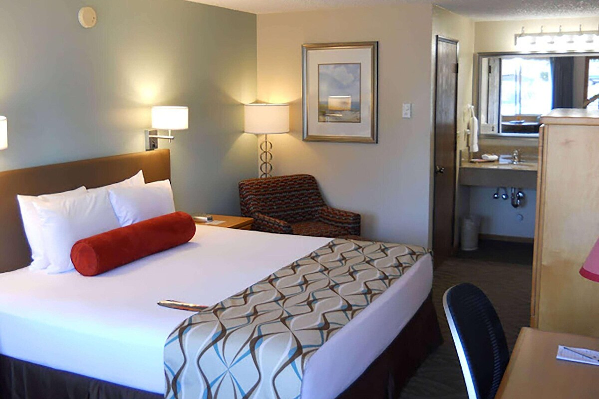 Une chambre d’hôtel comprenant un lit, une chaise, un bureau, une lampe, un tableau encadré et une salle de bain.