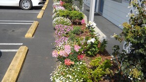 A parking lot with a row of parked cars and a flower bed with various plants and flowers. - Super 8 by Wyndham Florence OR (Florence)