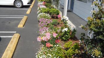 Jardines del alojamiento